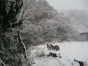「☃∵ 弊社事務所横の雪景色 ☃∵」関連画像
