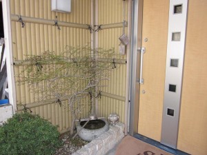 「弊社、ショップ（展示場）入口 ・・もみじ・・①」関連画像