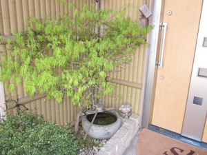 「弊社、ショップ(展示場)入口 ・・もみじ・・②」関連画像