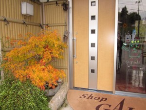 「展示場 シヨップGAL もみじ紅葉」関連画像