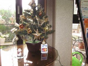 「事務所に、小さな ∴❂ クリスマスツリー❂∵」関連画像