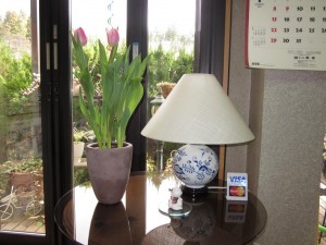 「春を届けてくださいました。。。」関連画像