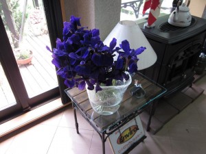 「5月の花頂きました。 文目（あやめ）」関連画像