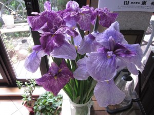 「今年も ¨ しょうぶ ¨を届けてくださいました。」関連画像