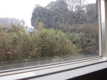 「:❄:❄ 見えますか?:❄:❄」関連画像