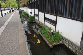 「またまた、津和野にいってきました。」関連画像