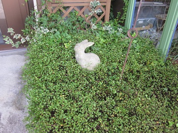 「ワサワサ。」関連画像