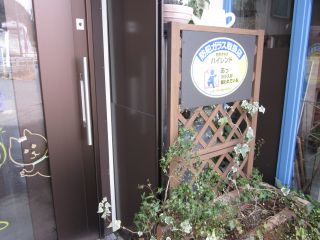 ✧見た目もスッキリ