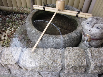 「天然のお皿」関連画像