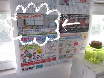 「◀◀ サンデー周南8月 掲載 ◀◀」関連画像