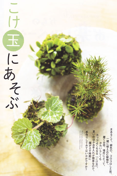 「「お楽しみページ」2015年後期号のご紹介」関連画像
