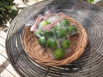 「すだち」関連画像