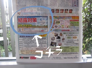 「✽ サンデー周南 掲載 ✽」関連画像