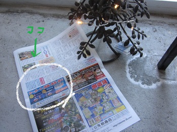 「✽ サンデー周南 掲載 ✽」関連画像