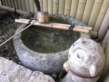 「初氷」関連画像