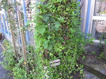 「➠➠➠」関連画像