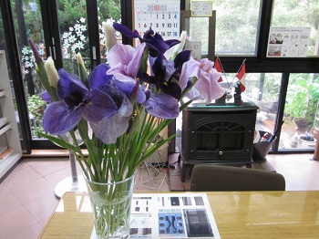 「雨とお似合い。。。」関連画像