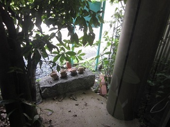 「奴らが移動したぜ！！」関連画像