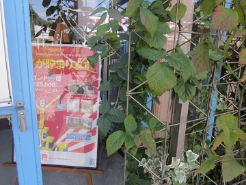 「✧ 新しいポスター ✧」関連画像