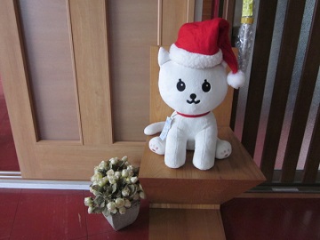 「❅❅ merry christmas ❅❅ ～マドちゃんの装い～」関連画像