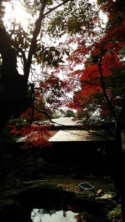 「神社へ。」関連画像