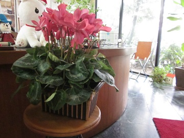 「✧:✧ 素敵なプレゼント ✧:✧」関連画像