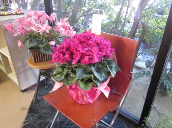 「玄関先に届いていました。ありがとうございます！」関連画像