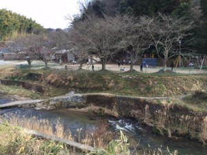 「今日のウォーキングで・・」関連画像