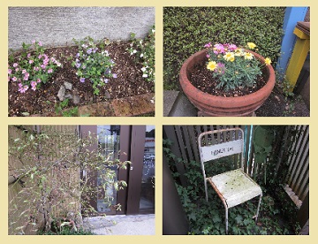 「新しく植えた花、成長した木やグリーン達。」関連画像