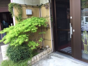 「青い紅葉とワイヤープランツ」関連画像