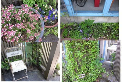 「暖かい春のパワー。」関連画像