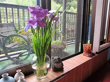 「今年も、ありがとうございます(*^-^*)」関連画像