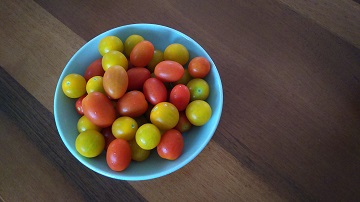 「ミニトマト」関連画像