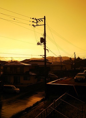 「台風は去り。」関連画像