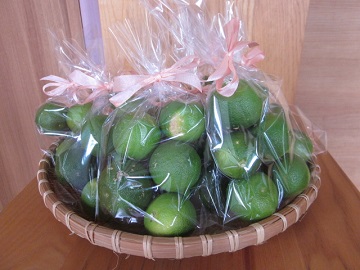 「たくさん採れました。お持ち帰りくださいね 🍊」関連画像