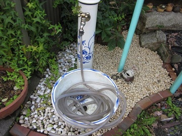 「ミニ庭園」関連画像