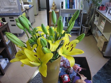 「パッと明るく✧」関連画像