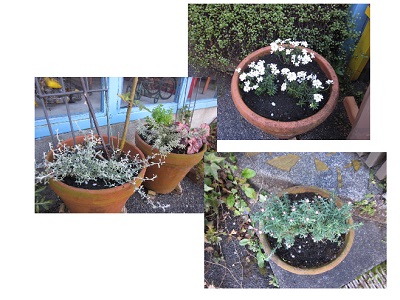 「心が穏やかになれば☕」関連画像