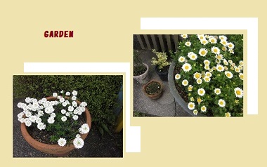 「増えています！」関連画像