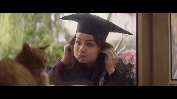 「窓と猫の物語 ~幼なじみ~」関連画像