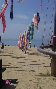 「虹ケ浜海水浴場 ~光~」関連画像