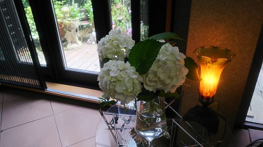 「季節の花です。」関連画像