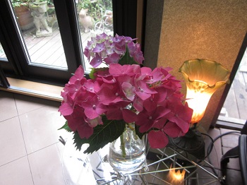 「今度はカラフル。」関連画像