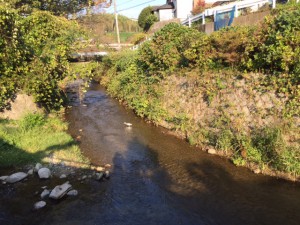 「散歩で。」関連画像