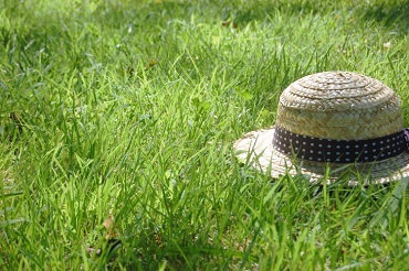 「GW 休業のお知らせ」関連画像