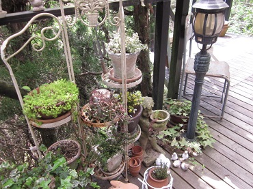 「🚚 配達の帰りに。」関連画像