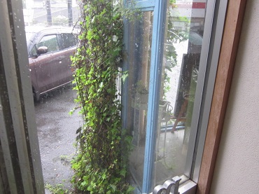 「豪雨予報!!」関連画像