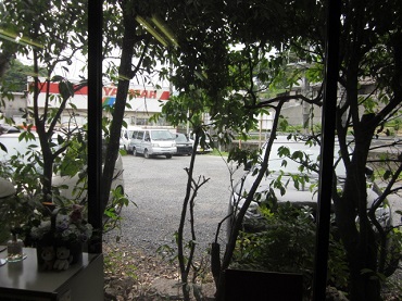 「✂🌳」関連画像