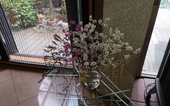 「週末、丁度良いお天気。」関連画像