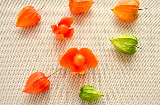 「お盆休みのお知らせ」関連画像